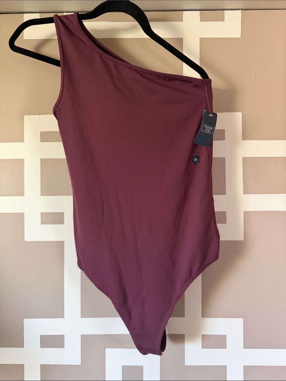 Abercrombie & Fitch One-Shoulder Bodysuit in Wine